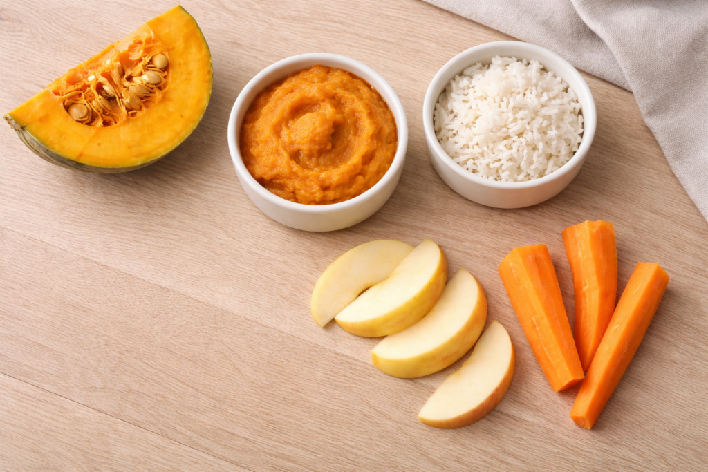foods-dogs-can-eat-safe-options